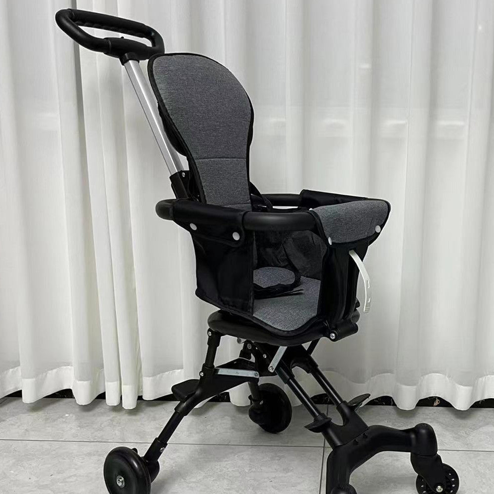 Reversible Iron Frame Stroller