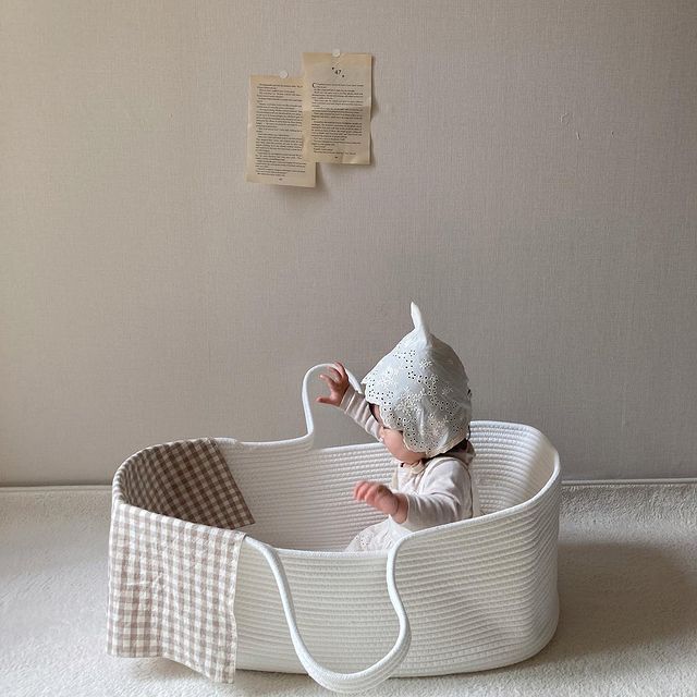 Baby Portable Sleeping Basket Car