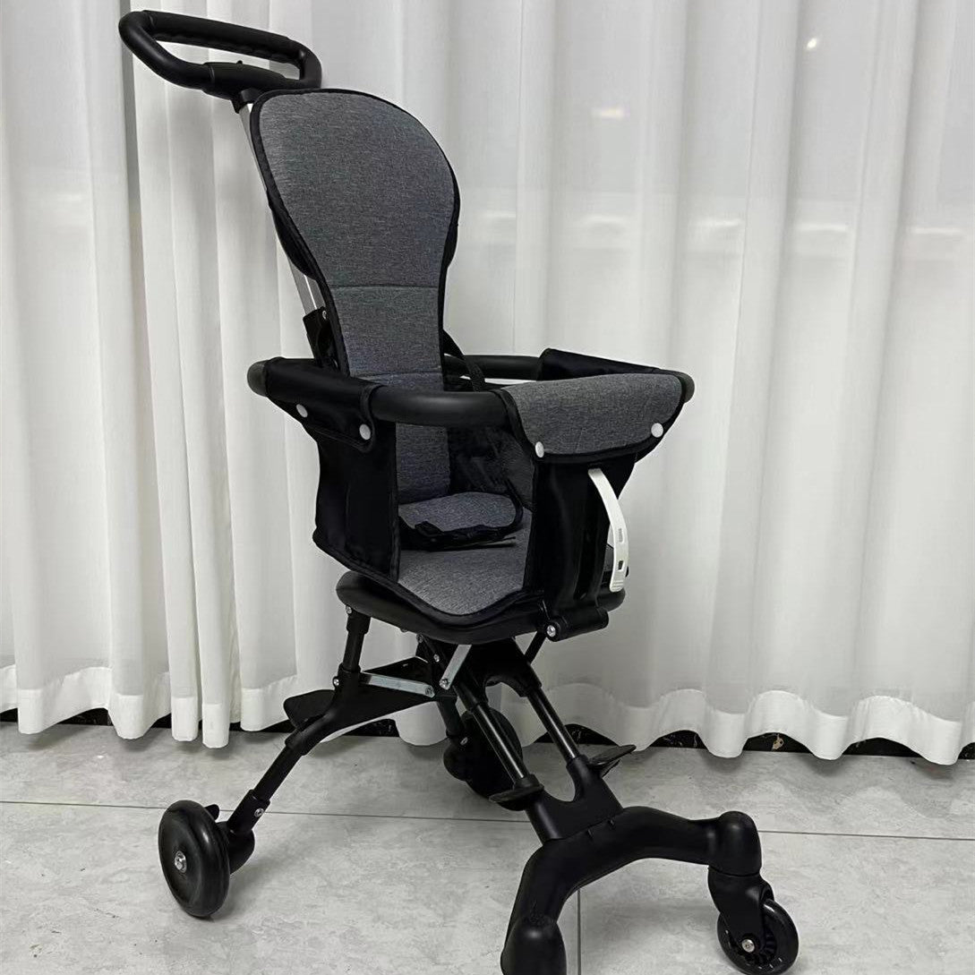 Reversible Iron Frame Stroller