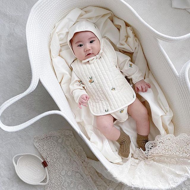 Baby Portable Sleeping Basket Car