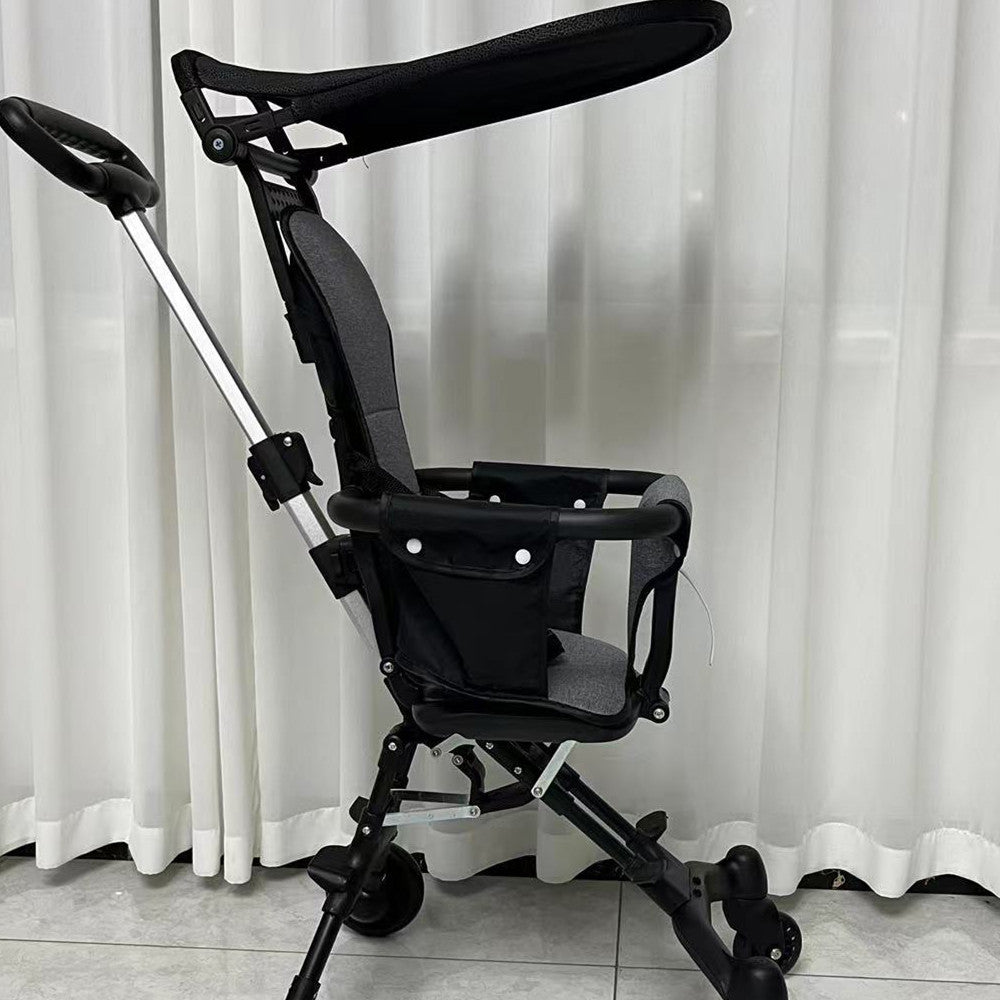 Reversible Iron Frame Stroller