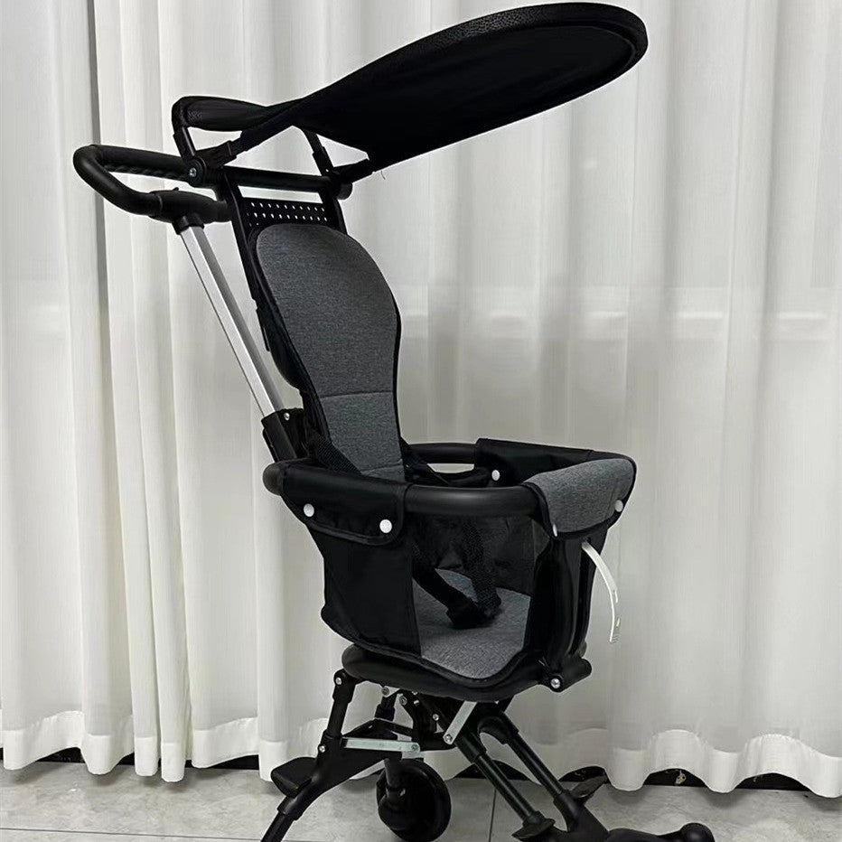 Reversible Iron Frame Stroller