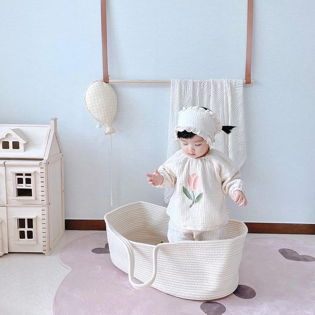 Baby Portable Sleeping Basket Car